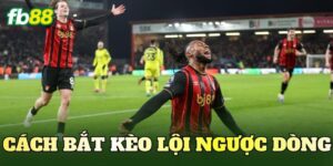 Cách Bắt Kèo Lội Ngược Dòng Chuẩn