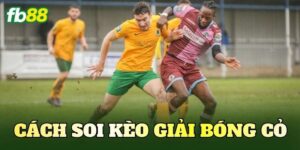Cách Soi Kèo Giải Bóng Cỏ