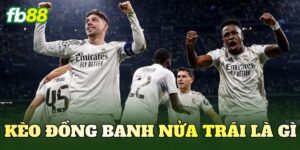 Kèo Đồng Banh Nửa Trái Là Gì