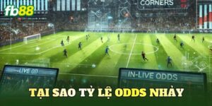 Tại Sao Tỷ Lệ Odds Nhảy