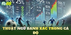 thuat ngu banh xac trong ca do