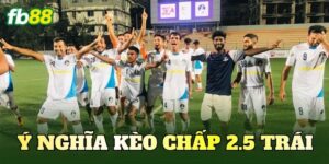 Ý nghĩa kèo chấp 2.5 trái