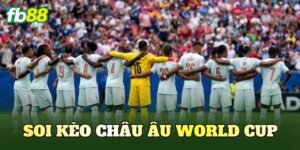 Soi Kèo Châu Âu World Cup